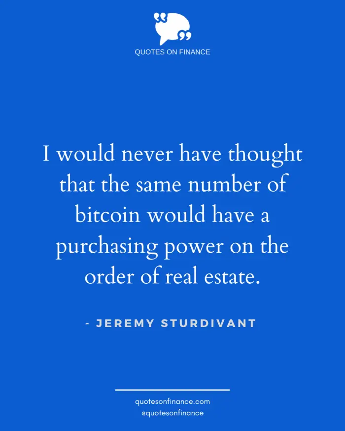 Bitcoin purchasing power